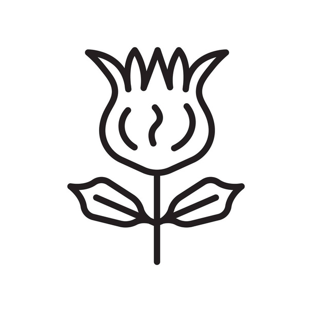 Icône tulipe signe vectoriel et symbole isolé sur fond blanc
,  - Vecteur, image