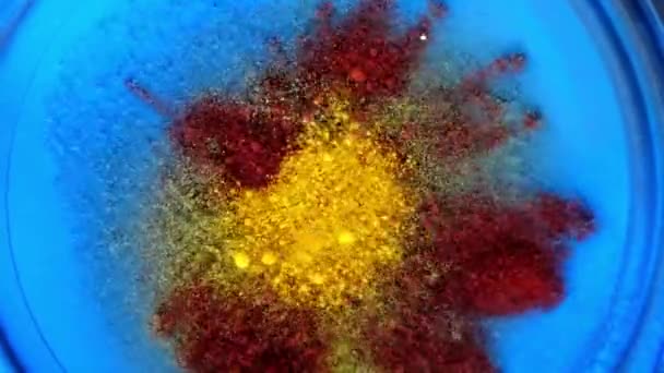 Powder color explosion slow motion - Footage, Video