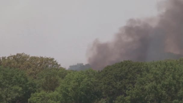 General view of a forest fire - Filmati, video