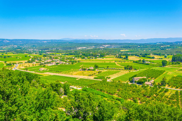 Vineyards near Menerbes village in Franc - Foto, Imagem