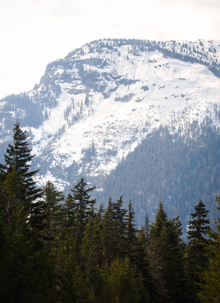 North Cascades National Park - Φωτογραφία, εικόνα