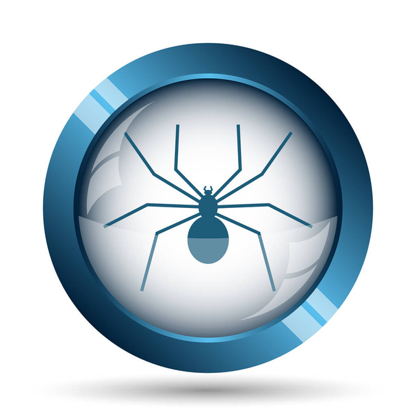 Örümcek simgesi. Beyaz arka plan üzerinde Internet düğmesi - Fotoğraf, Görsel