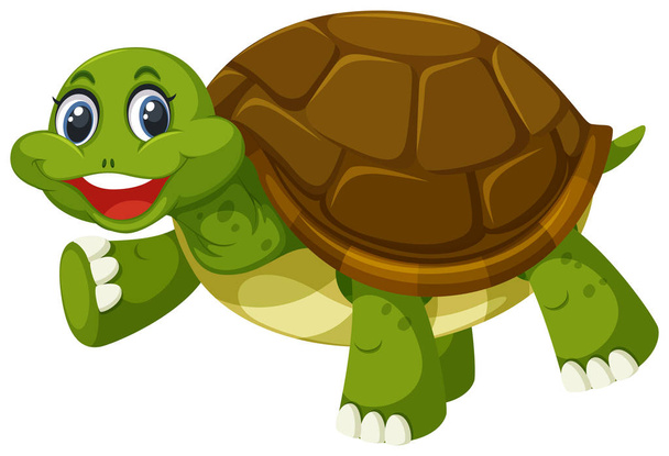 Una tartaruga su sfondo bianco illustrazione
 - Vettoriali, immagini