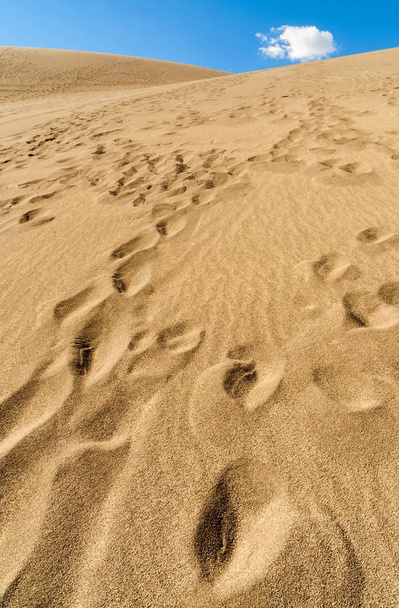 Great Sand Dunes National Park - Φωτογραφία, εικόνα