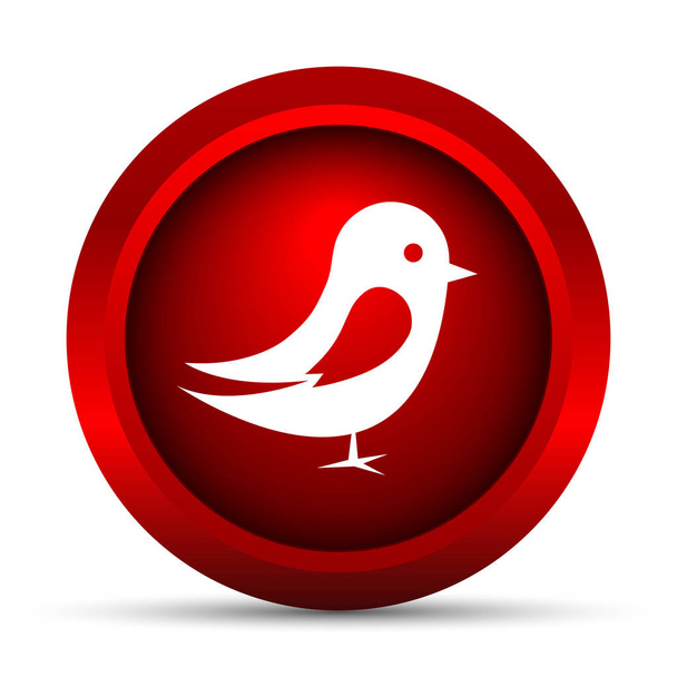 Εικονίδιο πτηνών. Κουμπί Internet σε άσπρο φόντο - Φωτογραφία, εικόνα