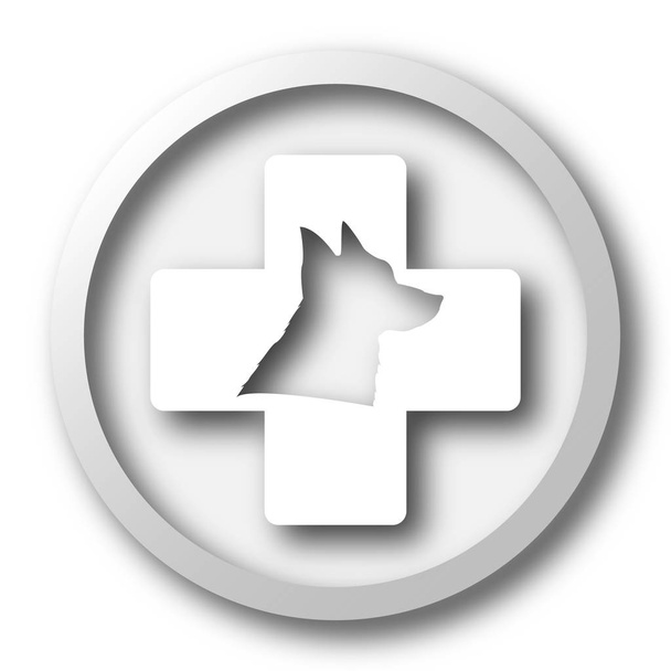 Ветеринарна ікона. кнопка Інтернету на білому тлі
 - Фото, зображення