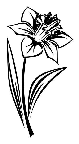 Black silhouette of narcissus flower. Vector illustration. - Vector, Image