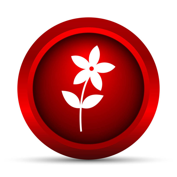 Λουλούδι εικονίδιο εικονίδιο. Κουμπί Internet σε άσπρο φόντο - Φωτογραφία, εικόνα