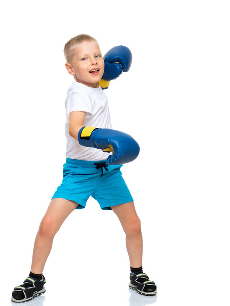 A little boy in a clean white T-shirt and boxing gloves. - Foto, immagini