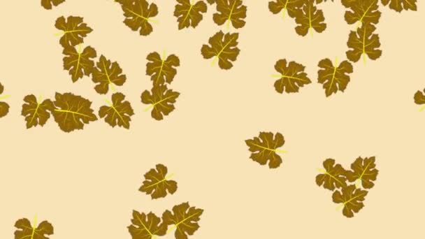 Brązowy autumn klonowe listowie, spada na jasnym tle brązowy komputerowo 4k - Materiał filmowy, wideo