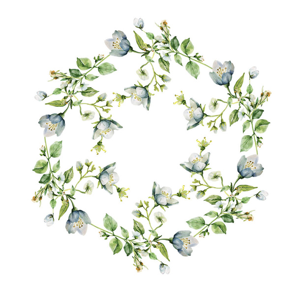 Pattern jasmines.Illustration on white and colored background. - Fotografie, Obrázek