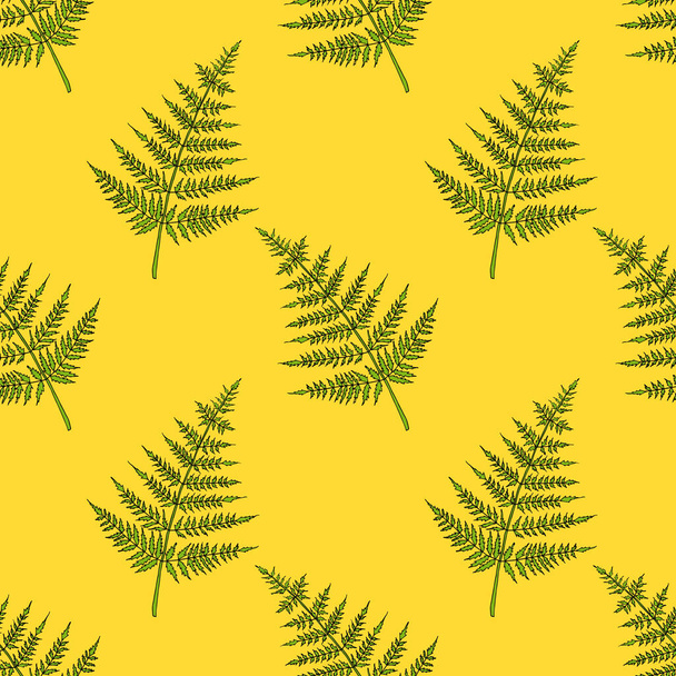 Fern seamless pattern. Bright cartoon illustration for children's greeting card design, menu, fabric and wallpaper. - Vector, Image