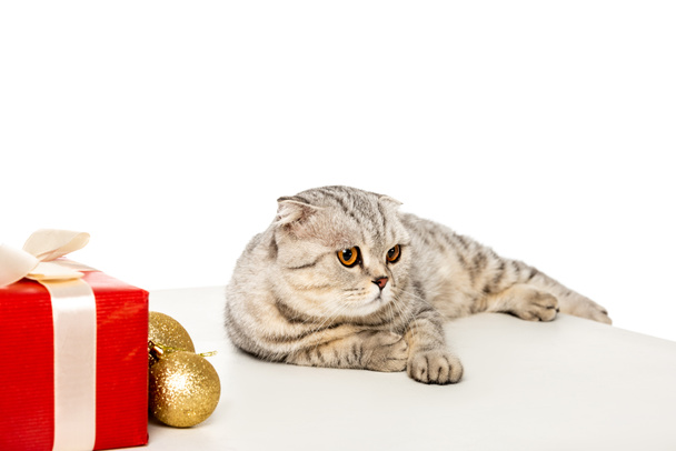 adorable striped british shorthair looking away near golden christmas baubles and gift box wrapped by ribbon on cube isolated on white background - Фото, зображення
