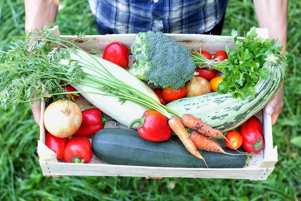 Farmer keeps a box of vegetables. Autumn harvesting concept. Top view. - Fotó, kép