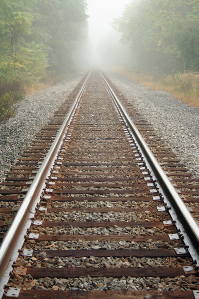 Foggy Railroad radat
 - Valokuva, kuva