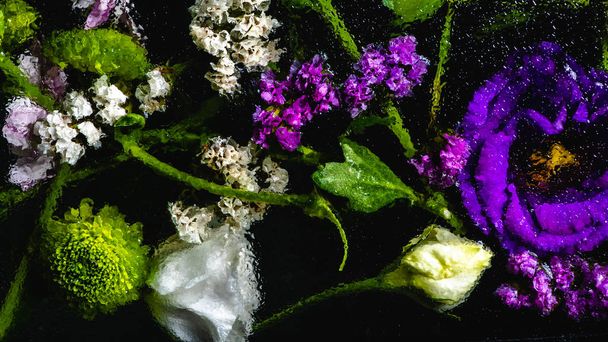 beautiful various wet flowers on black background - Foto, immagini