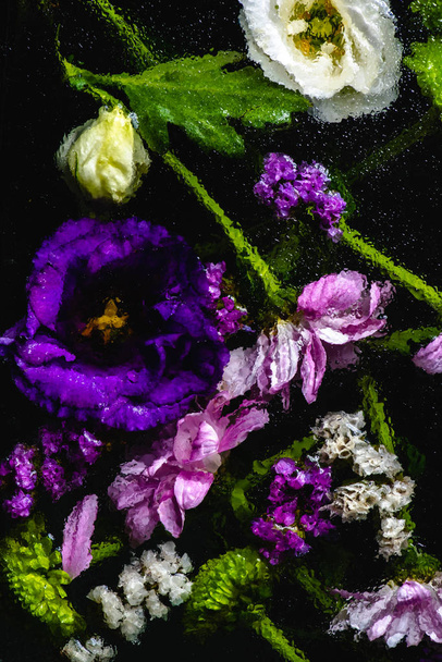 close-up view of beautiful various wet flowers on black  - Zdjęcie, obraz