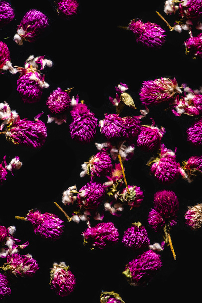 close-up view of beautiful blooming pink flowers isolated on black background   - Photo, Image