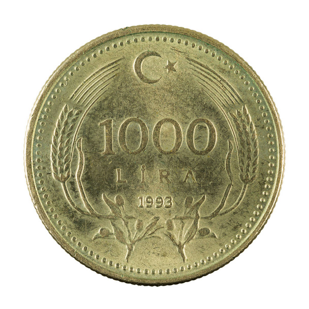 1000 török líra érme (1993) a elszigetelt fehér háttér - Fotó, kép