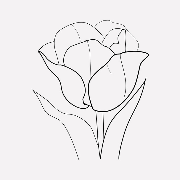 Tulpensymbol Linie Element. Vektorillustration der Tulpensymbollinie isoliert auf sauberem Hintergrund für Ihr Web-Mobile-App-Logo-Design. - Vektor, Bild