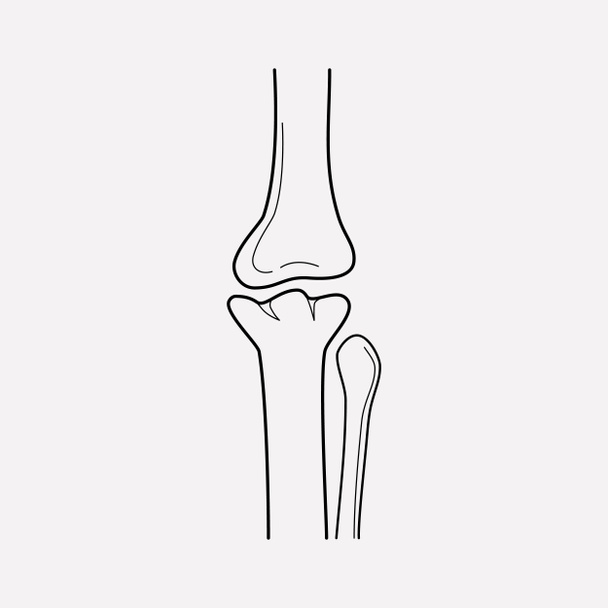 Bone joint icon line element.  illustration of bone joint icon line isolated on clean background for your web mobile app logo design. - Photo, Image