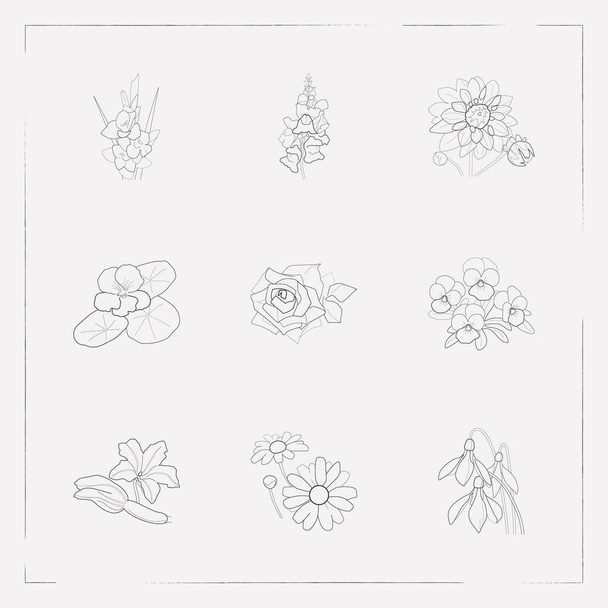 Reihe von Flora-Symbolen Linie Stil-Symbole mit Zucchini, Gladiolen, Stiefmütterchen und anderen Symbolen für Ihre Web-Mobile-App-Logo-Design. - Vektor, Bild