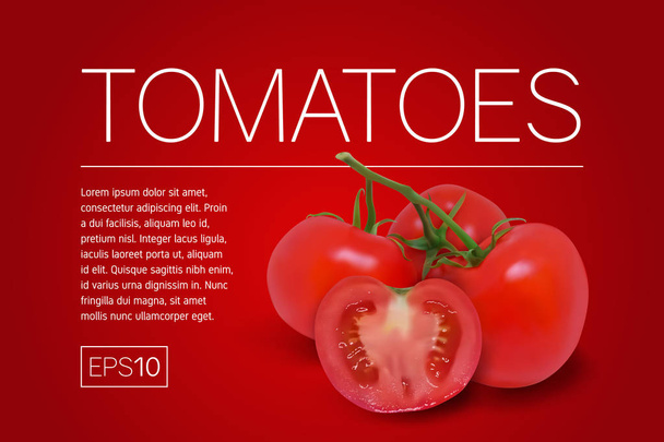 Üç olgun kırmızı domates bir dalda - Vektör, Görsel