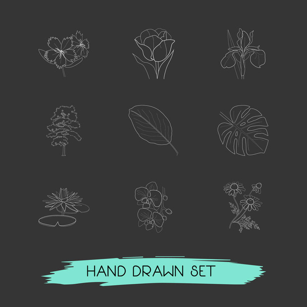 Set di icone botaniche stile linea simboli con foglia di mela, tulipano, orchidee e altre icone per il vostro web mobile app logo design
. - Vettoriali, immagini