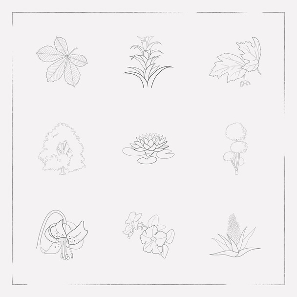 Set plant pictogrammen lijn stijl symbolen met weelderige, tiger lily, Aloë vera en andere pictogrammen voor uw web mobiele app logo ontwerp. - Vector, afbeelding
