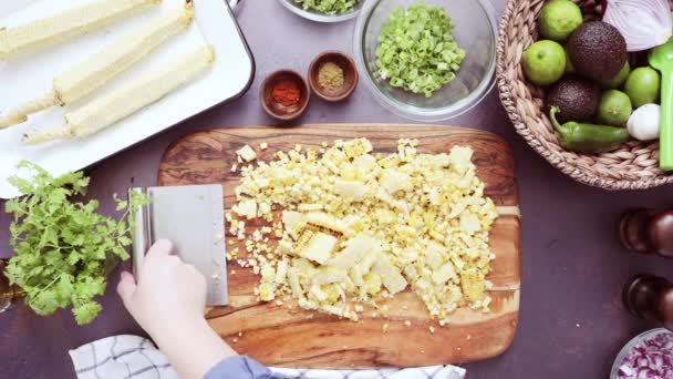 Προετοιμασία σπιτικό guacamole - Πλάνα, βίντεο