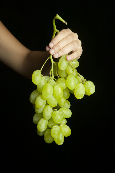 Grapes - 写真・画像