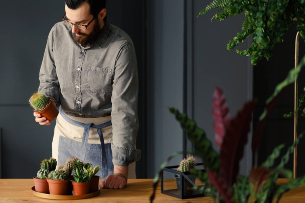 Man with gardening passion putting a cactus with other succulents on a golden tray - Foto, imagen