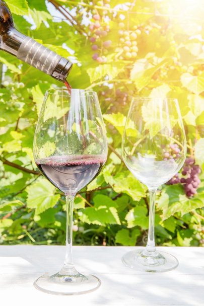 赤ワインをグラスに注ぐ。ワイン、ワインの試飲の祭りの概念 - 写真・画像