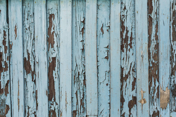 Stare drewniane drzwi z peelingiem i pęknięty białą farbą. - Zdjęcie, obraz