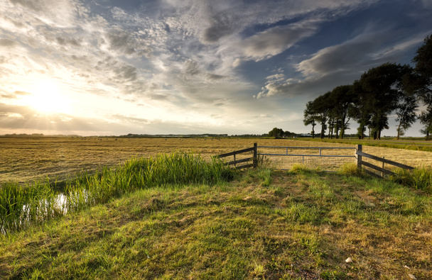 Sonnenlicht über holländischem Ackerland im Sommer, Niederlande - Foto, Bild