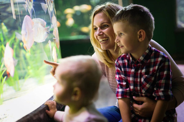 Happy cute family looking at fish tank at the aquarium - 写真・画像