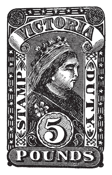Esta ilustración representa Victoria Five Pound Revenue Stamp en 1884, dibujo de línea vintage o ilustración de grabado
. - Vector, Imagen