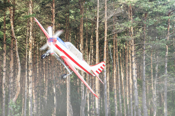 Ένα αεροπλάνο από ένα vintage ενιαίο μηχανισμό με βίδες που πετούν πάνω από τα δέντρα. Γκρο πλαν - Φωτογραφία, εικόνα