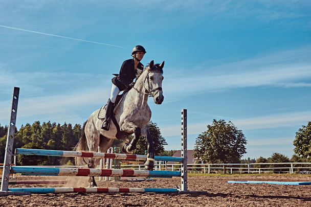 Young female jockey on dapple gray horse jumping over hurdle in the open arena. - Zdjęcie, obraz
