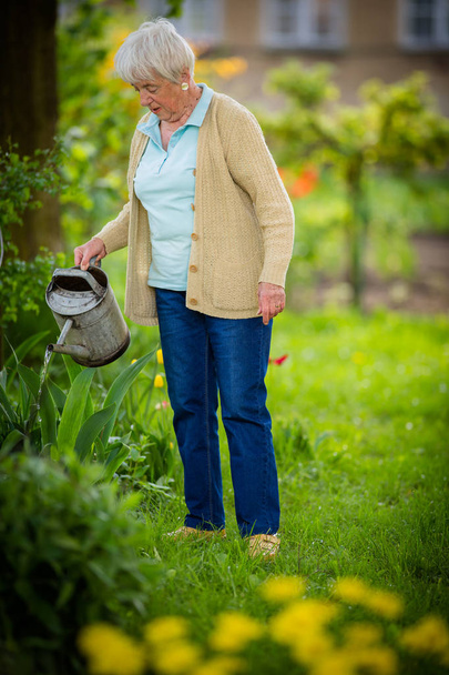 Senior woman with flowers in garden - Photo, Image