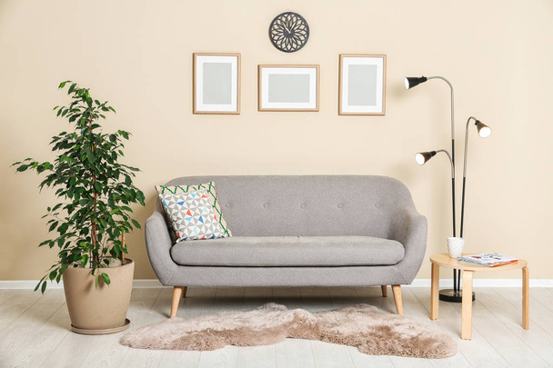 Stylish living room interior with ficus and sofa near light wall - Фото, изображение