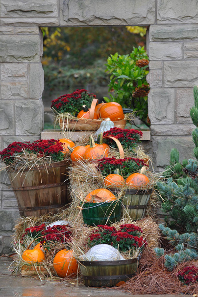 Casa decorata con zucche e foglie autunnali per il giorno del Ringraziamento e Halloween, New England. Stati Uniti
 - Foto, immagini