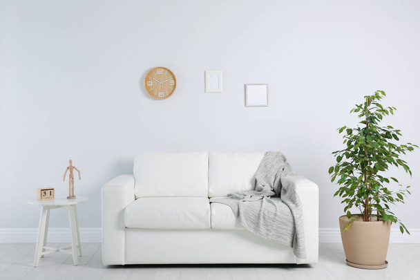 Stylish living room interior with sofa and houseplant near white wall - Fotó, kép