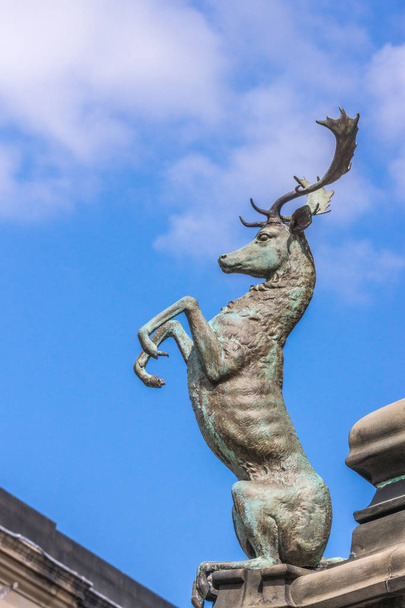 Edinburgh, Scotland, UK - June 14, 2012; Sitting up deer on Statue pedestal of Walter Montagu Douglas Scott, Duke of Buccleuch on Parliament Square. Against blue sky. - Fotoğraf, Görsel
