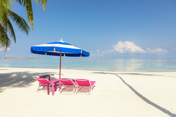 Rosa sillas de playa y paraguas azul en Palm Beach - Tropical concepto de vacaciones
 - Foto, Imagen