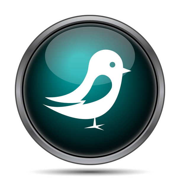 Bird icon. Internet button on white background - Photo, Image