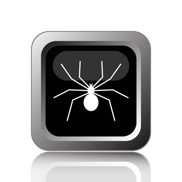 Pavouk ikona. Internet tlačítko na bílém pozadí - Fotografie, Obrázek