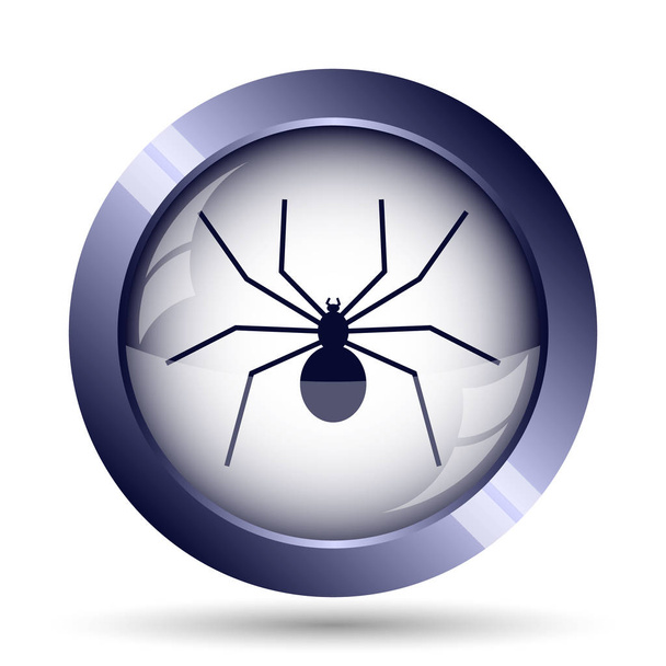Иконка паука. Кнопка Интернет на белом фоне
 - Фото, изображение