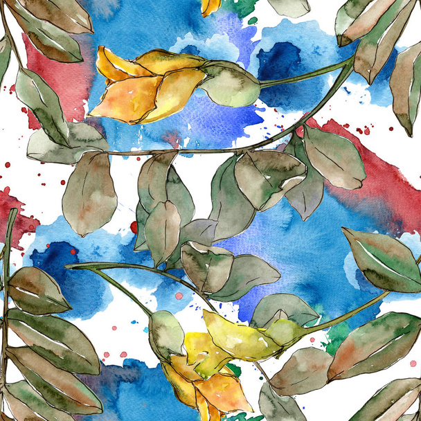 Ακακία φύλλα του φθινοπώρου πράσινο. Φύλλο φυτού Βοτανικός Κήπος floral φύλλωμα. Απρόσκοπτη υπόβαθρο μοτίβο. - Φωτογραφία, εικόνα