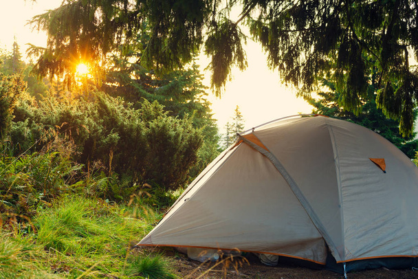 Rays of the rising sun illuminates the tent, which stands on a mountain meadow under the branches of a huge pine tree - epic travel in the wilderness. - Fotografie, Obrázek